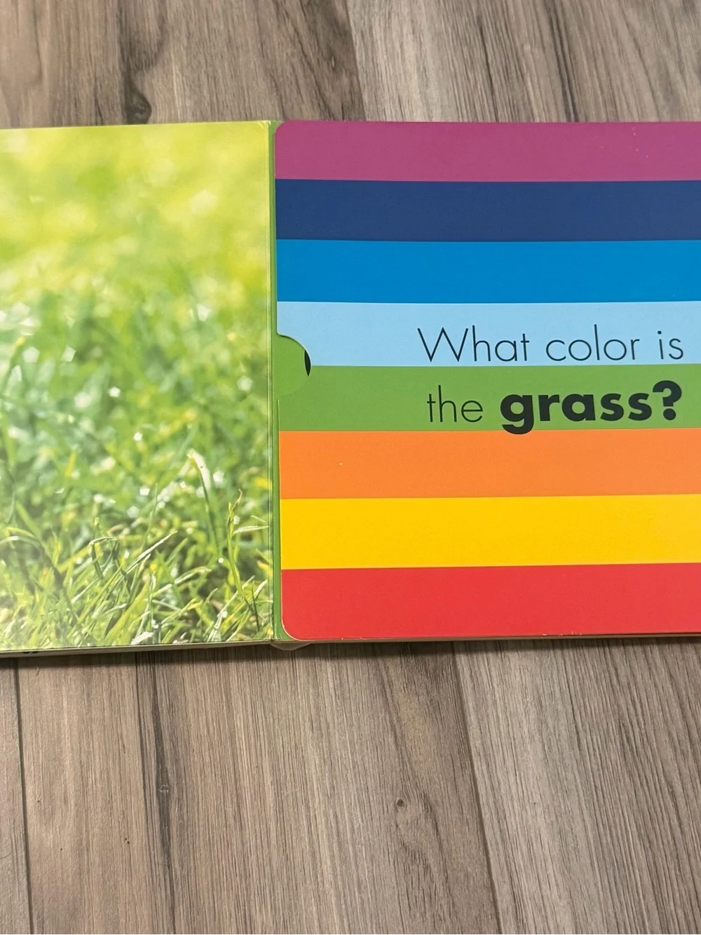 Where's Waldo? Picture Book by - Blue